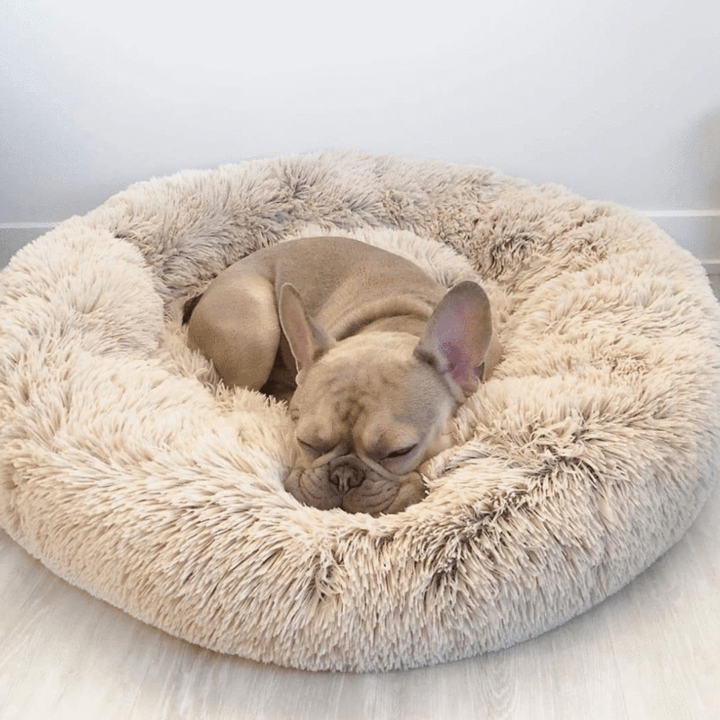 Comfybed™ - Honden & Katten