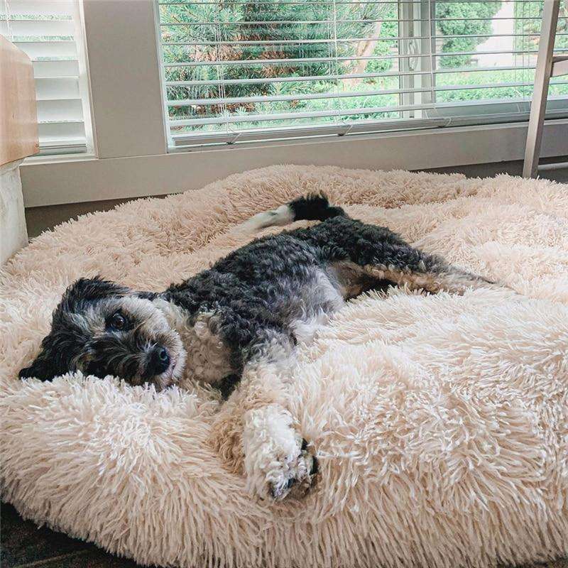 Comfybed™ - Honden & Katten