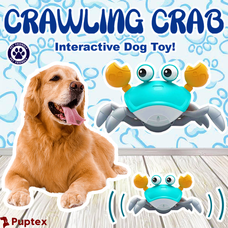 Crawling Crab™ - Interactief huisdierspeelgoed