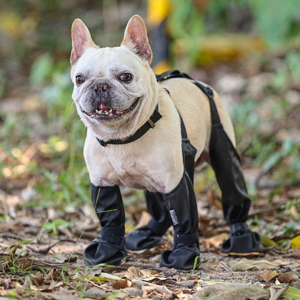 PawBoots™ | Winter Waterproof Hondenschoenen